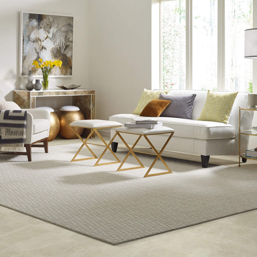 Area Rug | Puckett's Flooring