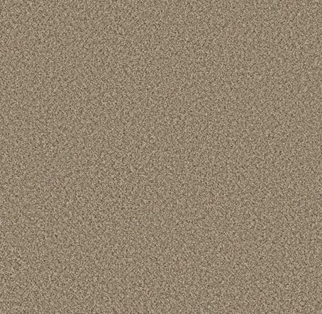 Carpet | Puckett's Flooring