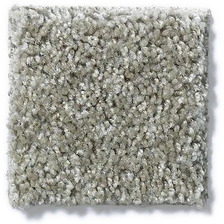 Easy to clean Carpet | Puckett's Flooring