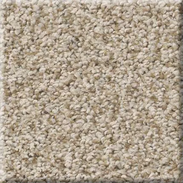 Soft carpet | Puckett's Flooring