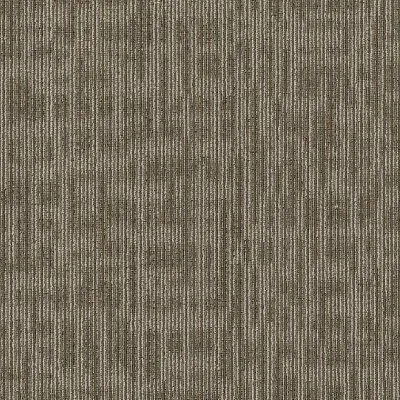 Shaw - Genius – color Scholarly