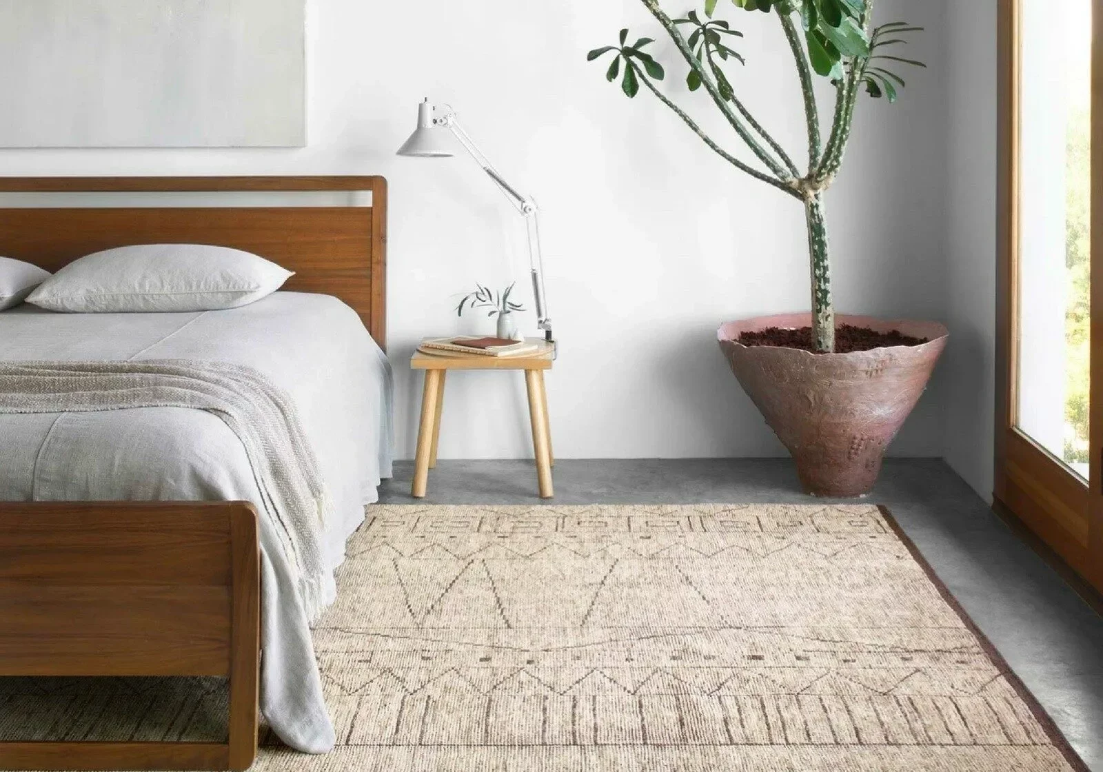 Loloi rug | Puckett's Flooring